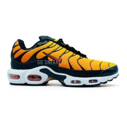 Nike Air Max Plus Orange