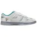 Унисекс кроссовки Nike Dunk Low Ice