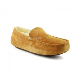 Men&#039;s Ascot Chestnut